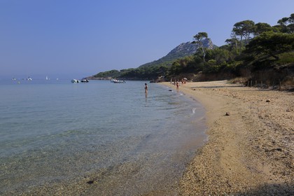 France, Var (83), Iles d'Hyères, parc national de Port-Cros, île de Porquerolles, la Plage Notre Dame