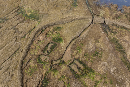 France, Charente Maritime, Oleron island, Saint Georges d'Oléron, Sables Vignier beach at low tide, the Basses fish lock (aerial view)