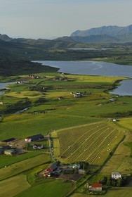 Norway, Nordland County, Lofoten Islands, fields on Moskenes island (aerial view)