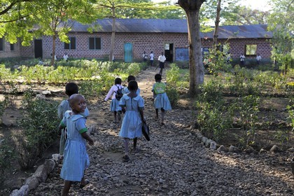Tanzania, Morogoro district, Uluguru mountains, elementary school in the village of Kiroka