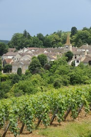 France, Côte d'Or (21), le village de Pernand-Vergeles
