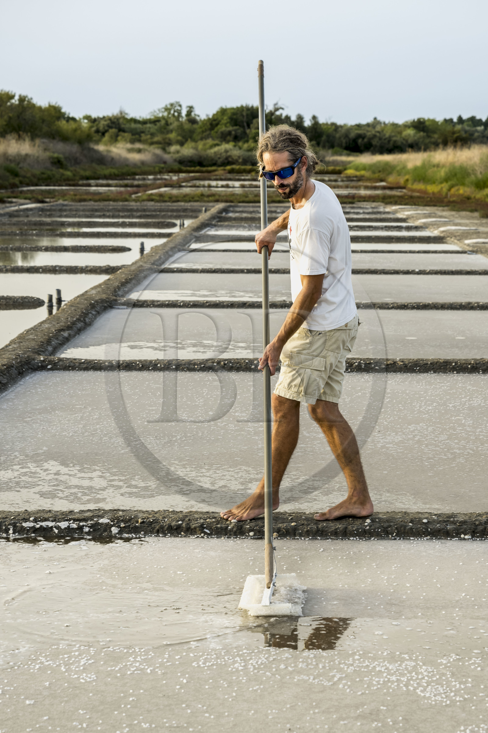 France, Charente-Maritime (17), Ile d'Oléron, Saint-Georges-d'Oléron, cueillette artisanale de la fleur de sel avec une lousse à fleur par le saunier Samuel Barbereau France, Charente-Maritime (17), Ile d'Oléron, Saint-Georges-d'Oléron, cueillette artisanale de la fleur de sel avec une lousse à fleur par le saunier Samuel Barbereau