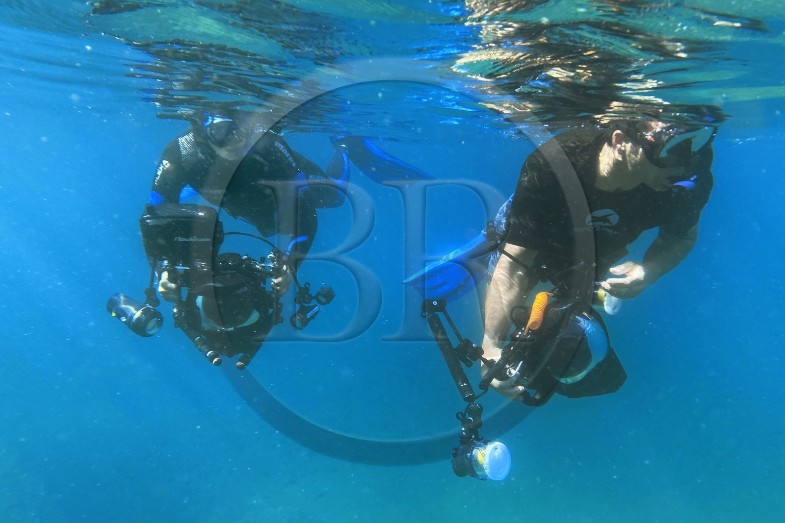 Sultanat d'Oman, gouvernorat de Mascate, réserve naturelle des Iles Daymaniyat, la photographe-plongeuse Maisa Al Hooti avec le plongeur photographe et réalisateur de films Darryl MacDonald