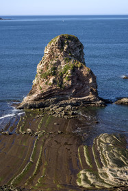 France, Pyrenees Atlantiques, Basque Country coast, the Abbadia estate managed by the Conservatoire du littoral, rocks of the Twins at the cliffs of Pointe Sainte-Anne