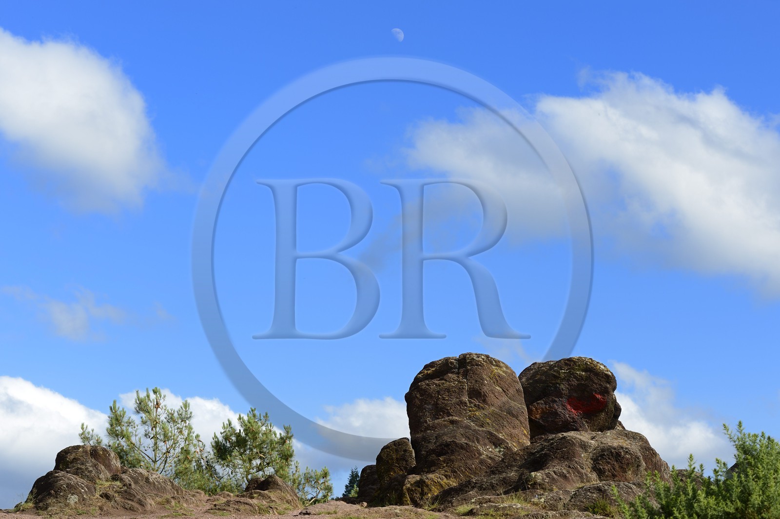 France, Morbihan (56), forêt de Brocéliande, Tréhorenteuc, la lande du Val sans retour