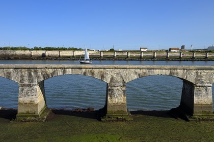 France, Pyrénées-Atlantiques (64), Pays-Basque, Anglet, embouchure de l'Adour qui est l'accès à la mer du port de Bayonne