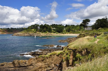 France, Finistère (29), Moelan-sur-Mer, plage de Kerfany les Pins, le littoral entre Kerfany les Pins et la plage de Trenez sur le sentier des douaniers GR 34