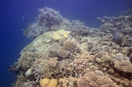 France, Ile de Mayotte, Grande-Terre, Kani-Keli, récif corallien vers la plage de N’Gouja