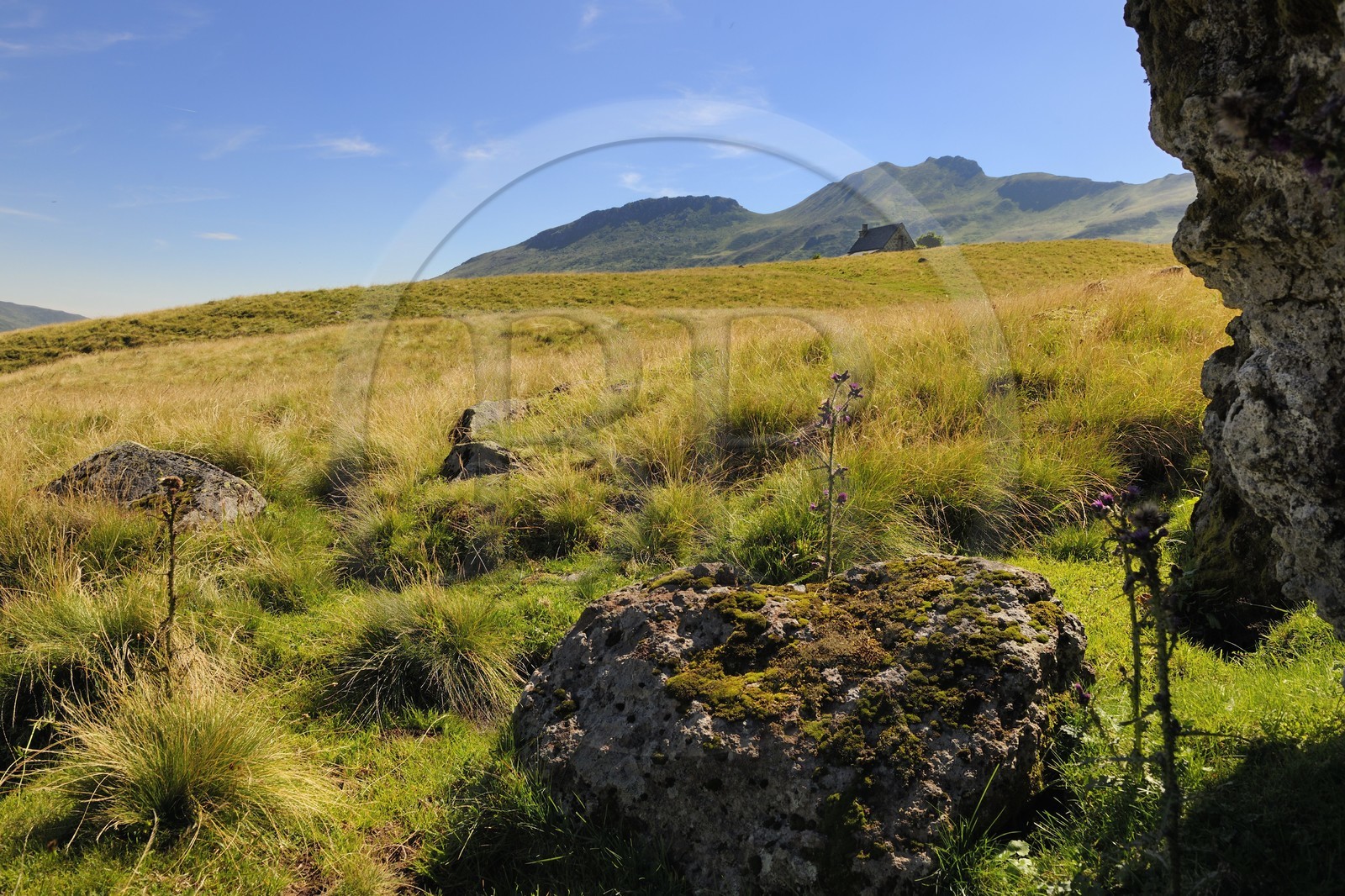France, Cantal (15), monts du Cantal, Parc Naturel Régional des Volcans d' Auvergne, le buron d' Eylac et la montagne du Puy-Mary (1783m)