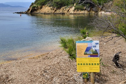 France, Var (83), Iles d'Hyères, Parc national de Port Cros, Ile de Port-Cros, sentier sous marin de la plage de la Palud