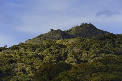 Panama, Chiriqui province, Boquete, the slopes of Volcan Baru, national park