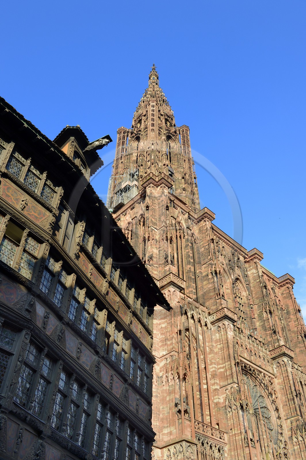 France, Bas-Rhin (67), Strasbourg, vieille ville classée au Patrimoine Mondial de l'UNESCO, place de la cathédrale, la maison Kammerzell (15ème siècle) convertie en un hôtel et restaurant, la cathédrale Notre Dame en arrière plan