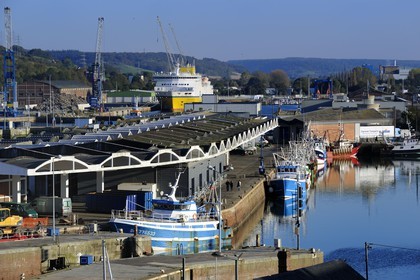 France, Seine-Maritime, Dieppe, the fishing harbour