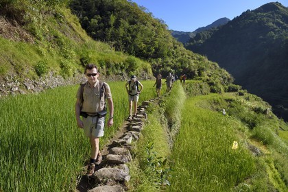 Philippines, province d'Ifugao, randonnée dans les rizières en terrasses de Banaue autour du village de Cambulo, classées Patrimoine Mondial de l'UNESCO