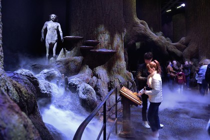 United Kingdom, Hertfordshire, Leavesden, Leavesden Film Studios, Harry Potter Studio Tour London, the scene of the eight Harry Potter movies' making of, the mythical Forbidden Forest