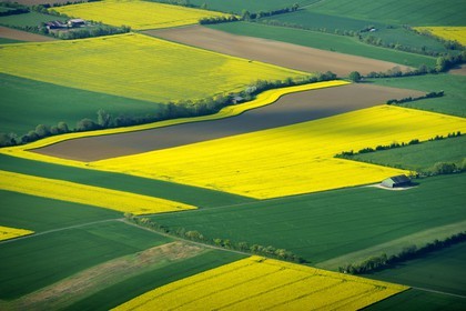 France, Eure (27), champ de colza en fleurs (vue aérienne)