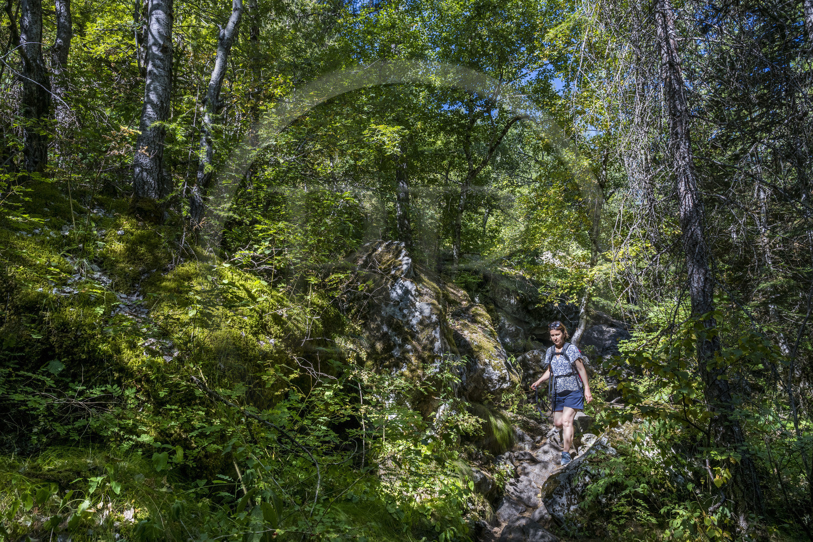 France, Hautes Alpes (05), Chateauroux-les-Alpes, randonnée de la Cascade de la Pisse par le canal de Gramorel