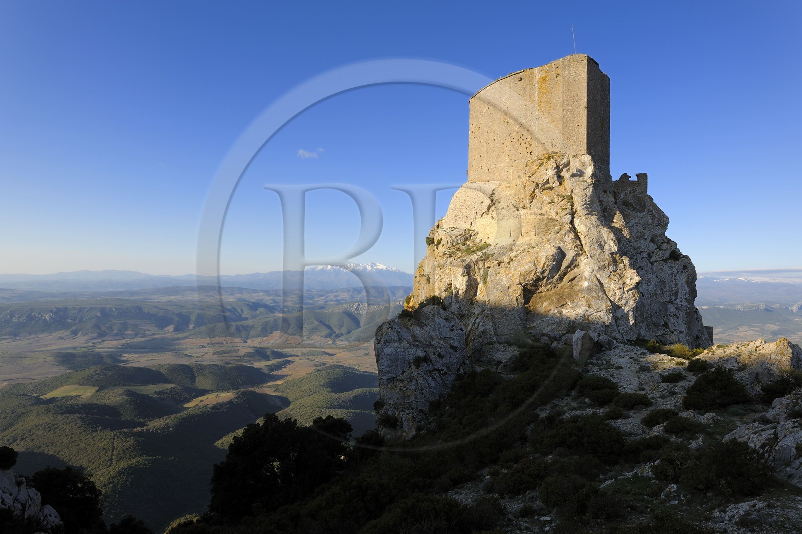 France, Aude (11), Pays Cathare, le château de Quéribus, devant la plaine de Maury et le Mont Canigou (2784 m) dominant la chaine des Pyrénées