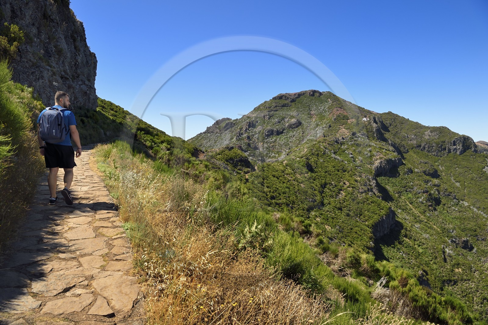 Portugal, Ile de Madère, randonnée sur le Vereda do Areeiro entre les monts Pico Ruivo (1862m) et Pico Arieiro (1817m), randonneur sur le sentier qui monte depuis Achada do Teixeira et le Pico Ruivo en arrière plan