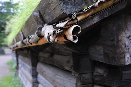 Norway, Oslo, Bygdoy Peninsula, Norsk Folkemuseum (Norwegian Folk Museum), old farm transplanted into Ecomusuem, insulation in birch bark
