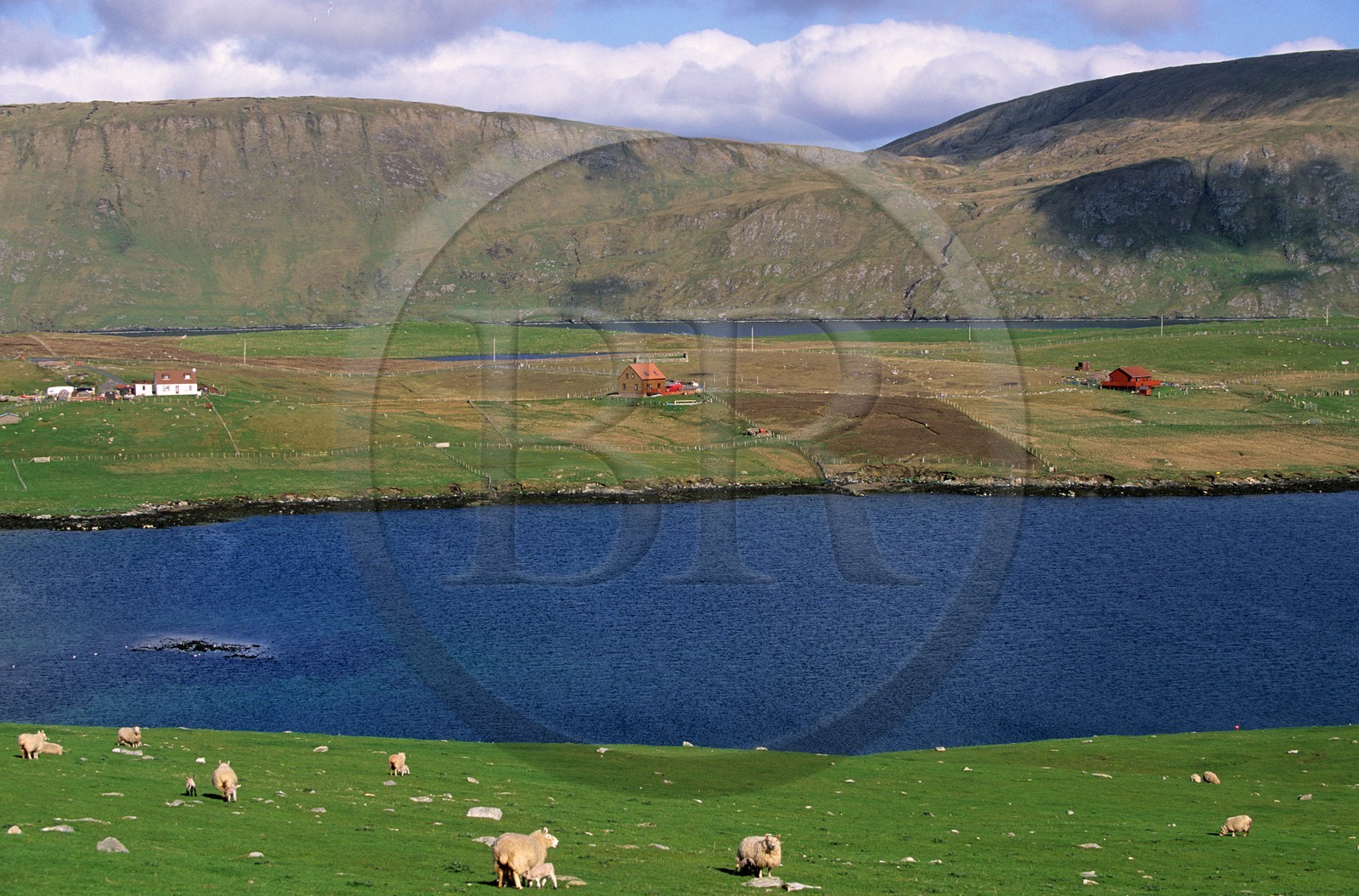 Royaume-Uni, Ecosse, les Shetland, côte ouest de Mainland, île de East Burra