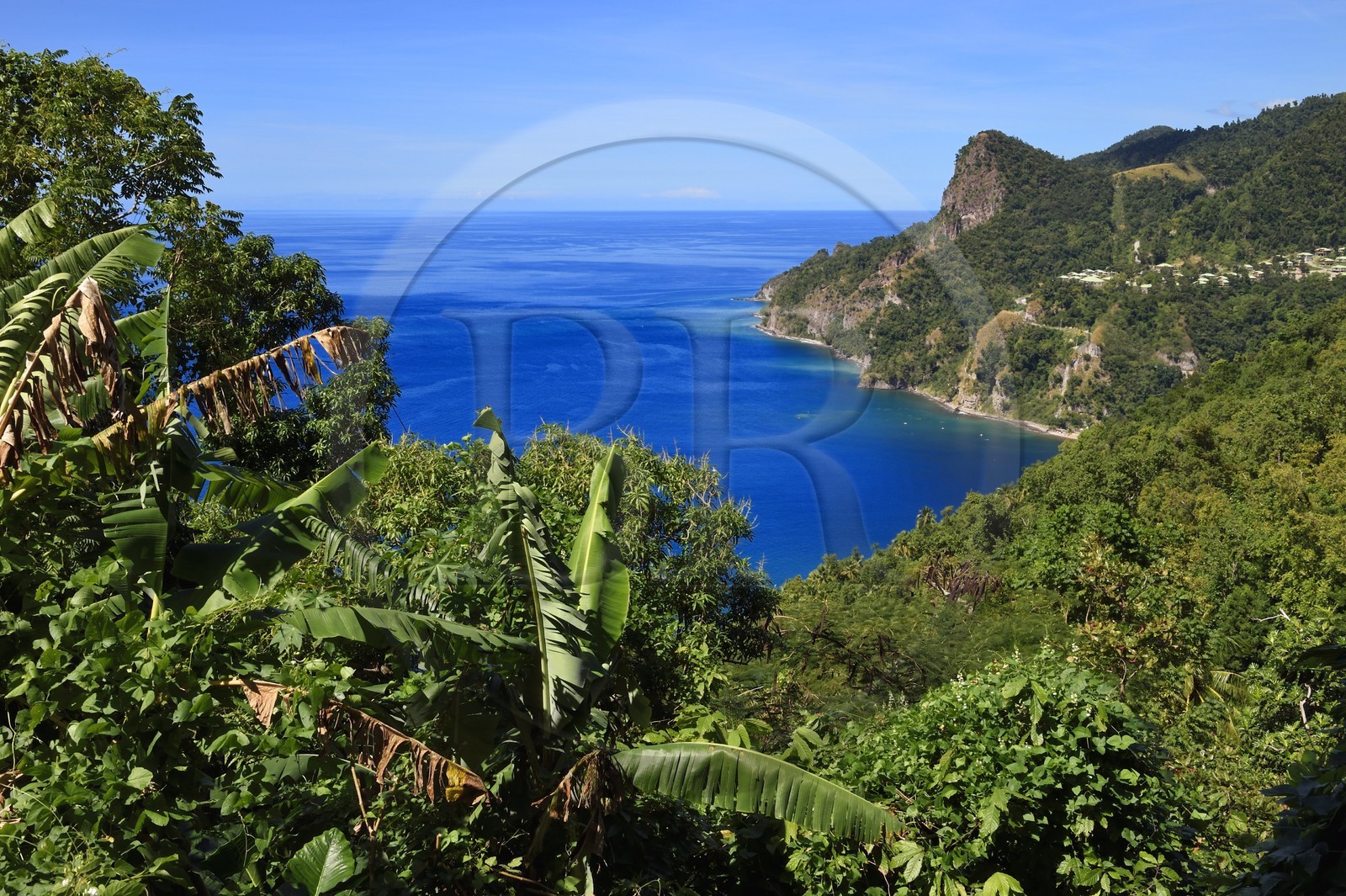 Caraïbes, Ile de la Dominique, la baie de Soufrière, dans les montagnes du sud de l'île le long du Segment 1 du Waitukubuli National Trail entre Scotts Head Village et Soufriere Estate