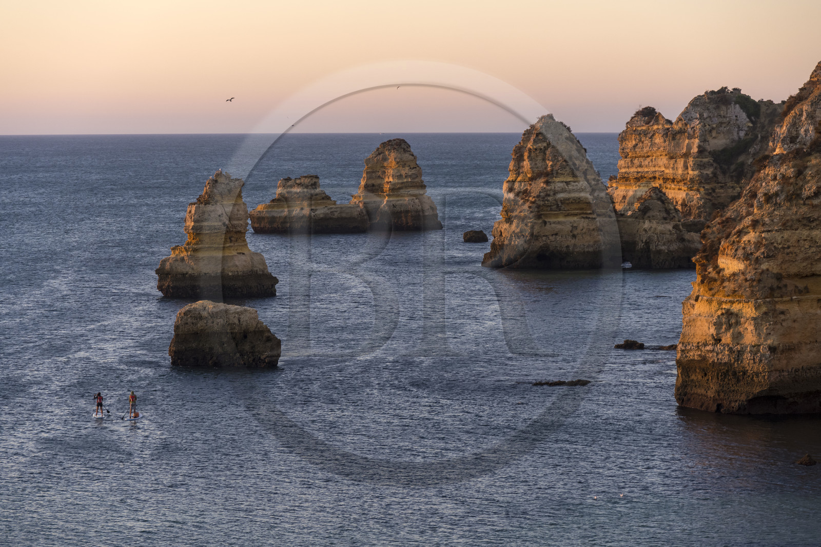 Portugal, Algarve, Lagos, escursion en stand up paddle au lever de soleil depuis la plage de Praia Dona Ana bordée par des falaises escarpées