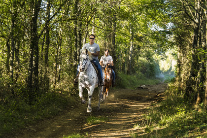 France, Hérault (34), les Causses et les Cévennes, paysage culturel de l'agro-pastoralisme méditerranéen inscrit au Patrimoine Mondial de l'UNESCO, La Vacquerie-et-Saint-Martin-de-Castries, le Mas de Cisco, Julian et son frère Charlie Amposta en route pour regrouper le troupeau de vaches