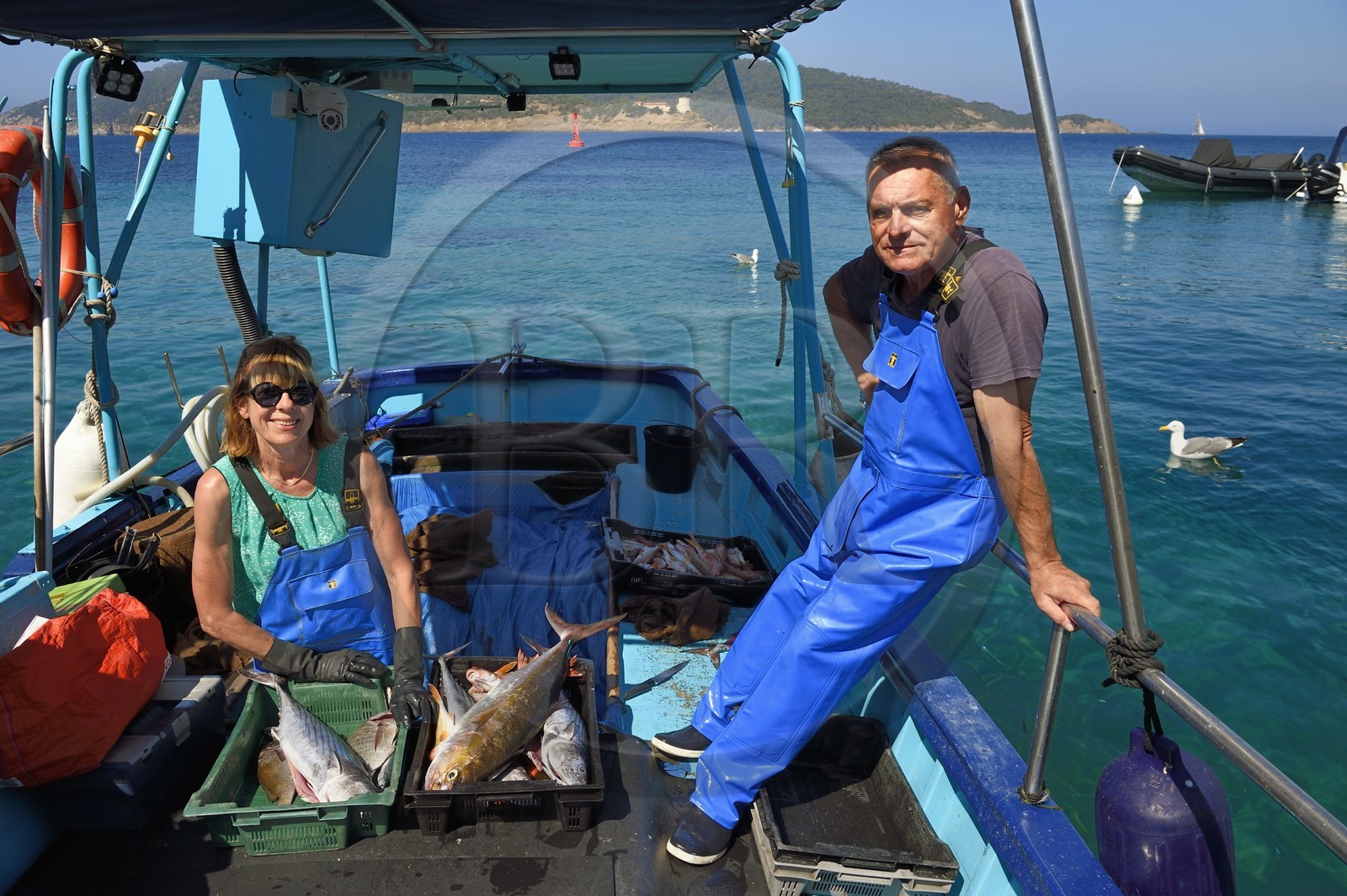 France, Var (83), Iles d'Hyères, Parc national de Port Cros, Ile du Levant, domaine naturiste d'Héliopolis, Christophe et Brigitte Chevallier, seuls pêcheurs professionnels d'Héliopolis, proposent leur pêche à leur retour au port