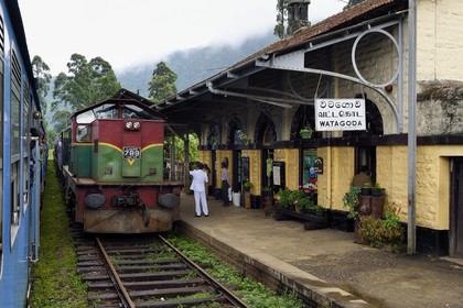 Sri Lanka, Province du Centre, trajet en train dans la région montagneuse de la culture du thé entre Hatton et Ella, entrée du train en gare de Watagoda