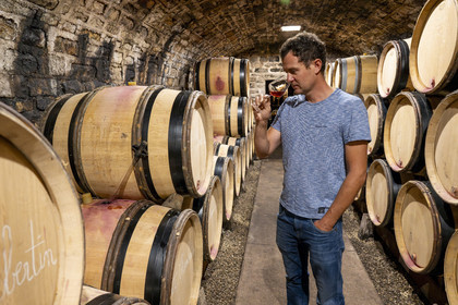 France, Cote d'Or, cultural Landscape of the climates of Burgundy listed as World Heritage by UNESCO, Route des Grands Crus (road of Vintage Wines), vineyard of the Côte de Nuits, Gevrey Chambertin, Domaine Dugat, Bertrand Dugat the cellars under the former Tithe Cellar of the Bishops of Langres where he stores his barrels