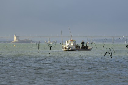 France, Charente-Maritime (17), le bassin Marrennes-Oléron au large de l'Ile d'Oléron, chaland dans les parcs à huîtres