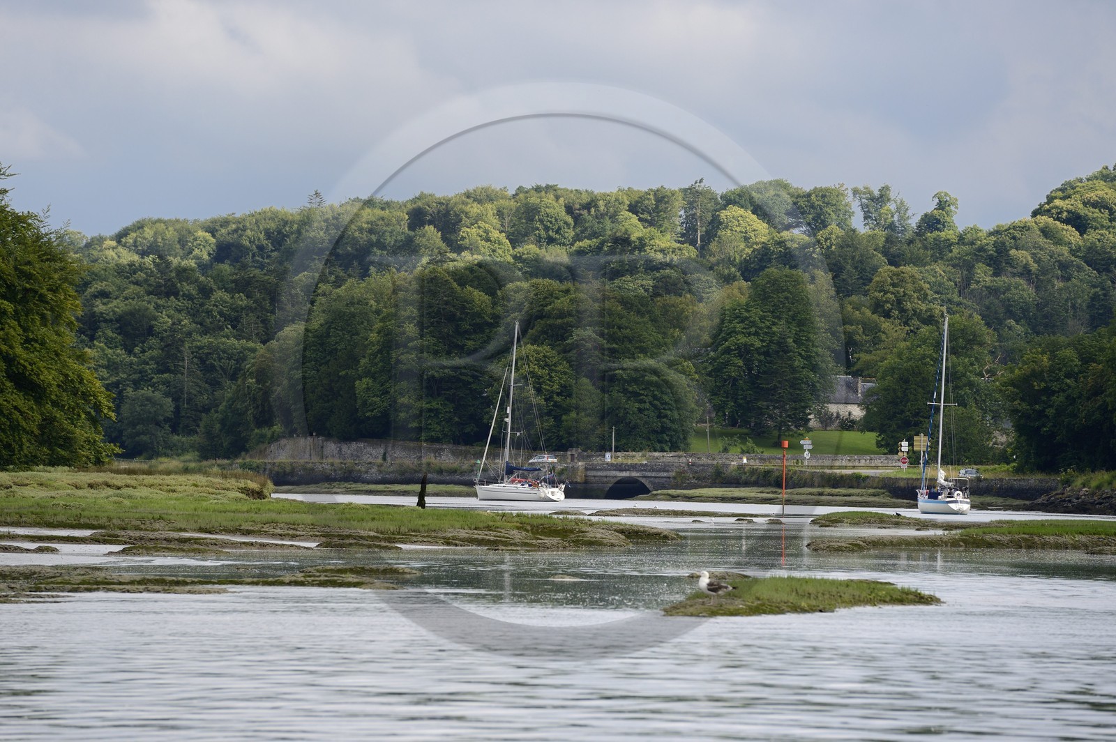 France, Finistère (29), voilier remontant Le Dossen ou rivière de Morlaix entre Locquénolé et Lanugy