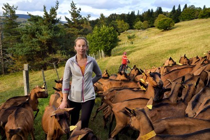 France, Ardeche, parc naturel regional des Monts d'Ardeche (Regional natural reserve of the Mounts of Ardeche), Mezenc Massif, Lac d'Issarles, Ferme de La Louvèche, the farmer Stéphanie Coquart and her son bring in the goats for the evening milking
