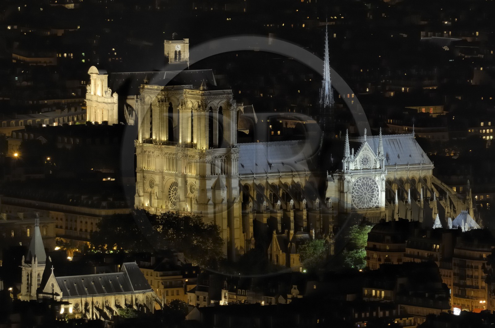 France, Paris (75), Ile de la Cité, cathédrale Notre-Dame de Paris de nuit