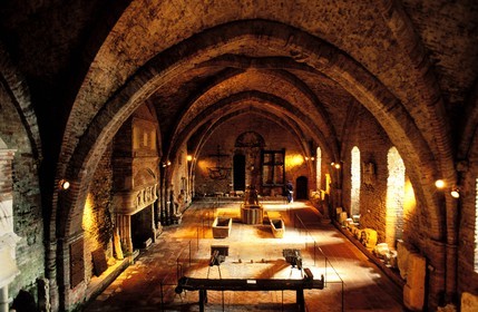 France, Tarn et Garonne, Montauban, Ingres Museum