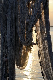 France, Herault, Sete, quartier de la Pointe Courte (Pointe Courte District), village of fishermen opening onto the bassin of Thau, fishing nets