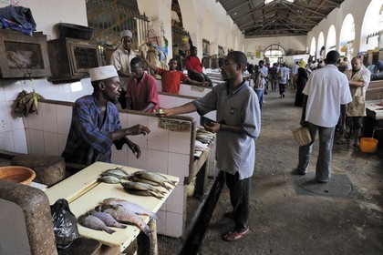 Tanzanie, Zanzibar, Stown Town, le marché de Darajani, marché au poissons