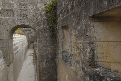 France, Charente-Maritime (17), Ile d'Aix, le Fort Liédot au nord