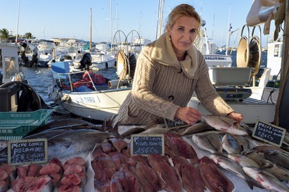 France, Var, Sanary-sur-Mer, sale of the morning fishing on the docks