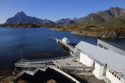 Norvège, Nordland, Iles Lofoten, Kabelvag - Storvagen, aquarium des Lofoten (Lofotakvariet)