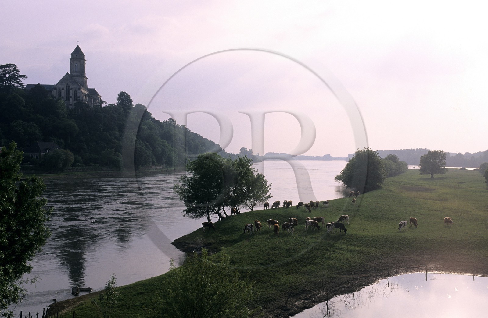 France, Maine et Loire, Loire river at Saint Florent le Vieil