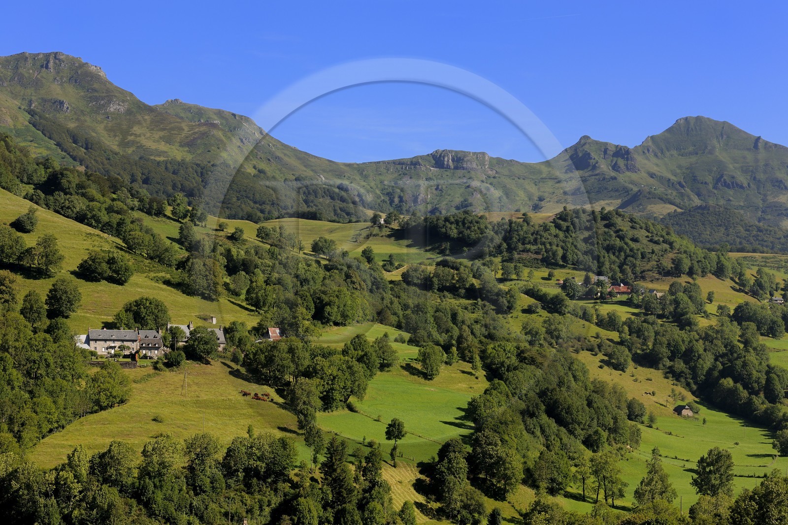 France, Cantal (15), monts du Cantal, Parc Naturel Régional des Volcans d' Auvergne, la vallée de la Jordanne vers Mandaille-Saint-Julien