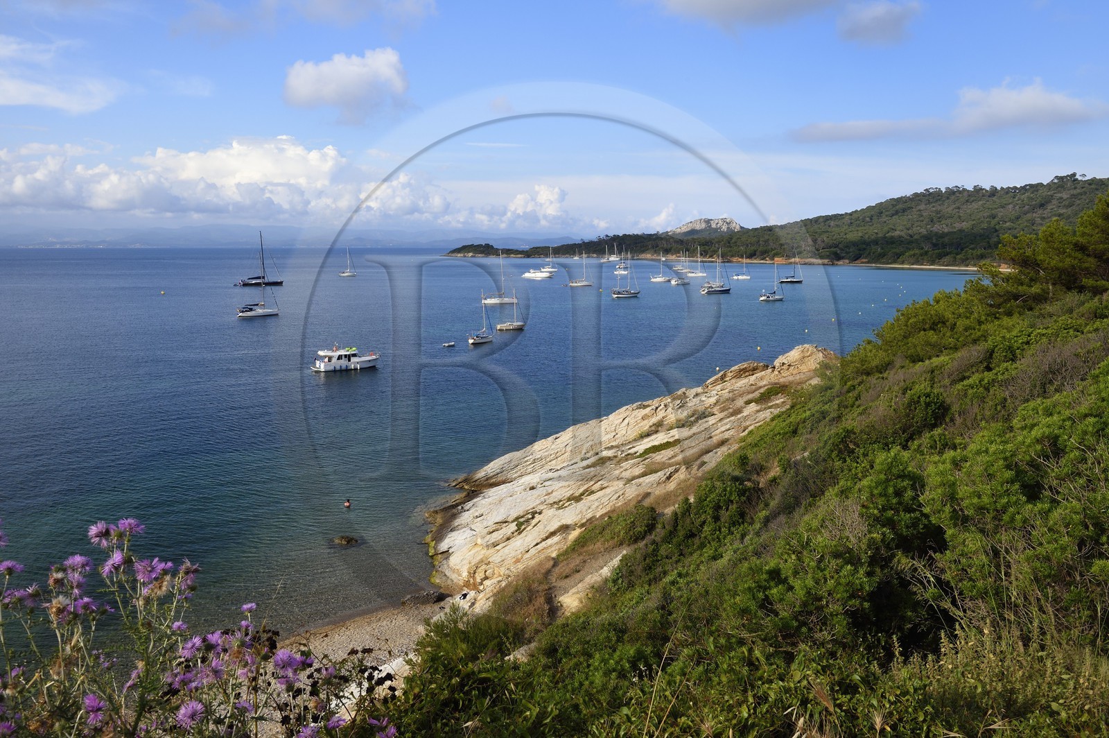 France, Var (83), Iles d'Hyères, parc national de Port Cros, Ile de Porquerolles, plage de la Courtade France, Var (83), Iles d'Hyères, parc national de Port Cros, Ile de Porquerolles, plage de la Courtade