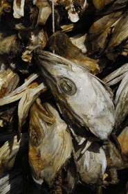 Norway, Nordland County, Lofoten Islands, Moskenes island, dried codfish heads at Reine