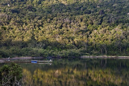 France, Var (83), Iles d'Hyères, Parc national de Port Cros, Ile de Port-Cros, la rade de Port-Cros au petit matin