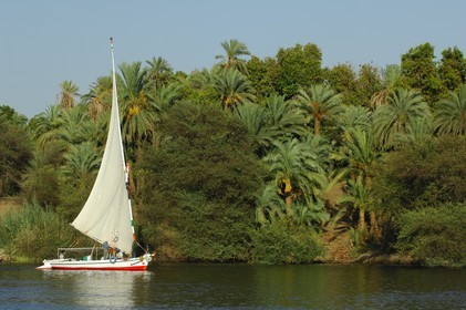 Egypte, Haute Egypte, vallée du Nil, Assouan, felouques sur le Nil autour de l'Ile Eléphantine