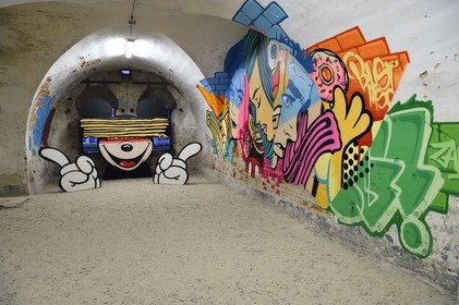 France, Haut-Rhin, Neuf Brisach, Museum of Urban Art and Street Art (MAUSA) housed in a former casemate of the Vauban citadel listed as World Heritage by UNESCO, mural by Bustart