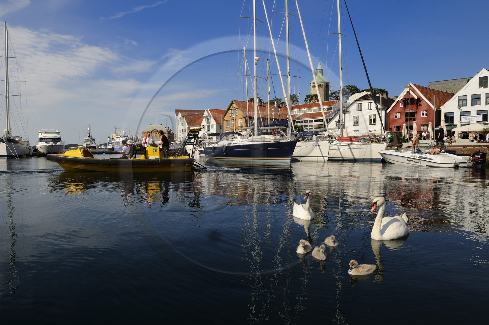 Norvège, Rogaland, Stavanger, bateaux de plaisance et cygnes dans le vieux port (Vagen)