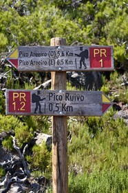 Portugal, Ile de Madère, randonnée sur le Vereda do Areeiro entre les monts Pico Ruivo (1862m) et Pico Arieiro (1817m), panneaux de directions de randonnées